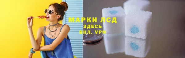 амф Аркадак