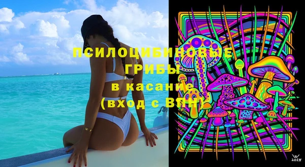ГАЛЛЮЦИНОГЕННЫЕ ГРИБЫ Сосновка